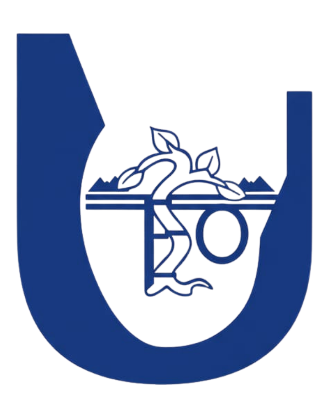 Rehabilita Neza